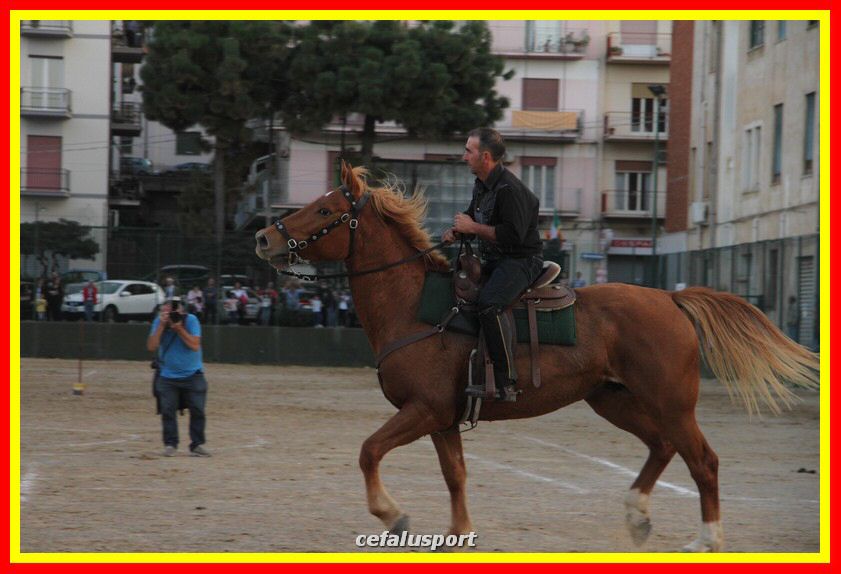 161106 equestre 060_tn.jpg